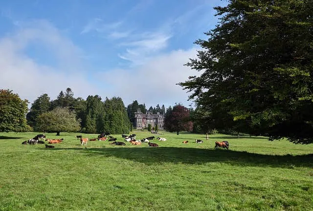 Clonalis House, Co. Roscommon, photo 1