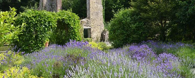 Fairbrook House Garden and Museum, Co. Waterford, photo 1