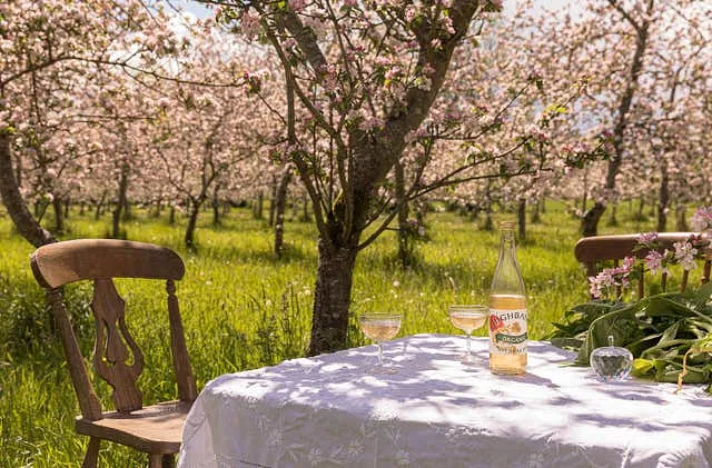 Highbank Organic Orchards, Co. Kilkenny, photo 1